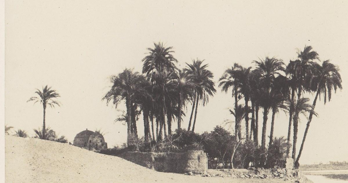 Kerpiç duvarla çevrili bir hurmalık, Félix Teynard'ın 1851-52 tarihli fotoğrafı